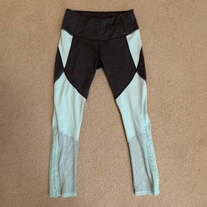 CALIA by Carrie Underwood Crops